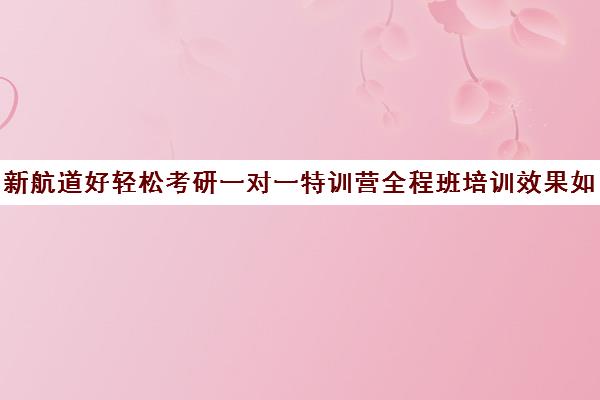 新航道好轻松考研一对一特训营全程班培训效果如何？靠谱吗（研途考研一对一辅导咋样）