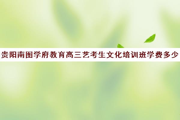 贵阳南图学府教育高三艺考生文化培训班学费多少钱(贵阳比较好的艺考学校)