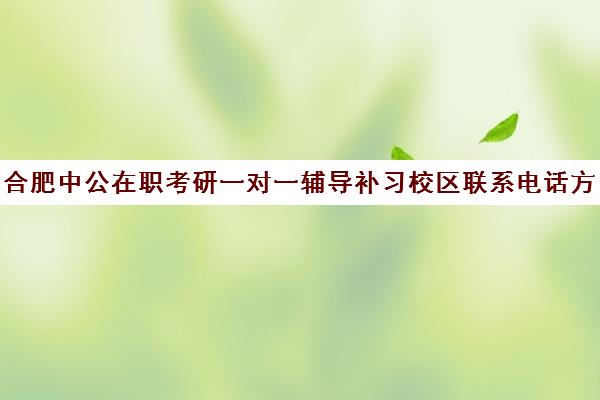 合肥中公在职考研一对一辅导补习校区联系电话方式