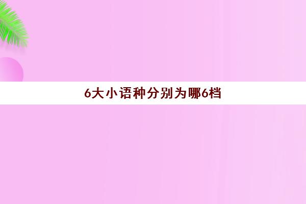 6大小语种分别为哪6档(第二大语种是什么)