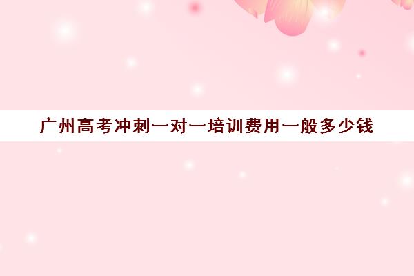 广州高考冲刺一对一培训费用一般多少钱(高三冲刺班收费标准)