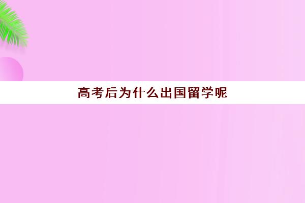 高考后为什么出国留学呢(留学和高考如何选择)