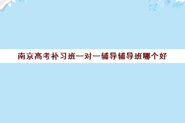 南京高考补习班一对一辅导辅导班哪个好