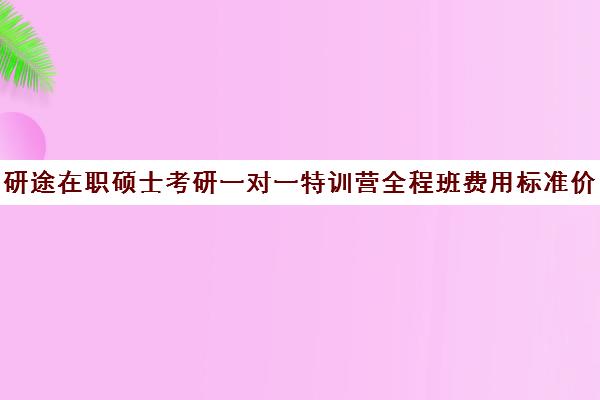 研途在职硕士考研一对一特训营全程班费用标准价格表（在职研究生哪个培训机构好）