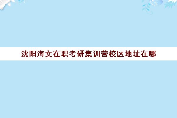 沈阳海文在职考研集训营校区地址在哪（海文考研官网首页）