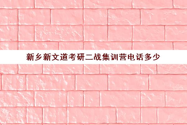 新乡新文道考研二战集训营电话多少（新乡市二战生考研考场）