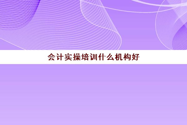 会计实操培训什么机构好(会计实账培训有必要去吗)