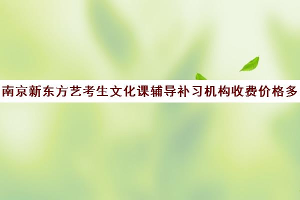 南京新东方艺考生文化课辅导补习机构收费价格多少钱