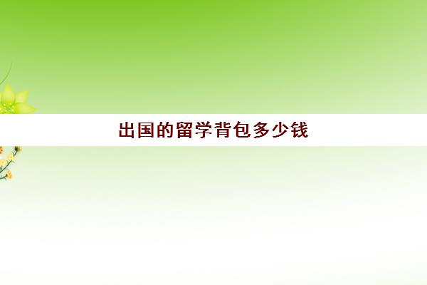 出国的留学背包多少钱(出国留学可以带多少行李)