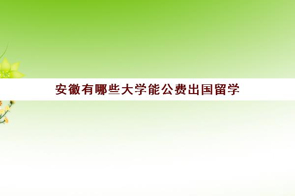 安徽有哪些大学能公费出国留学(公费留学49所高校名单)