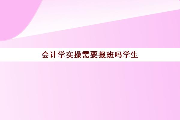 会计学实操需要报班吗学生(学会计有必要报班吗)