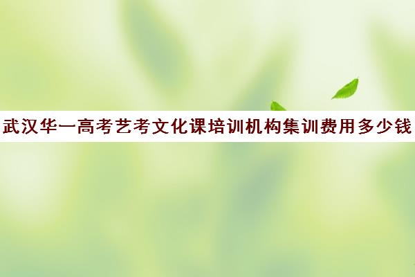 武汉华一高考艺考文化课培训机构集训费用多少钱(武汉最好的艺考培训)