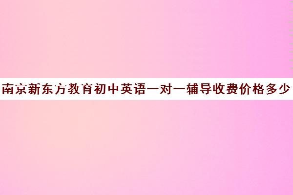 南京新东方教育初中英语一对一辅导收费价格多少钱（新东方一对一怎么样）