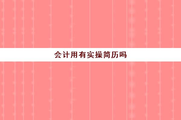 会计用有实操简历吗(会计使用的软件)