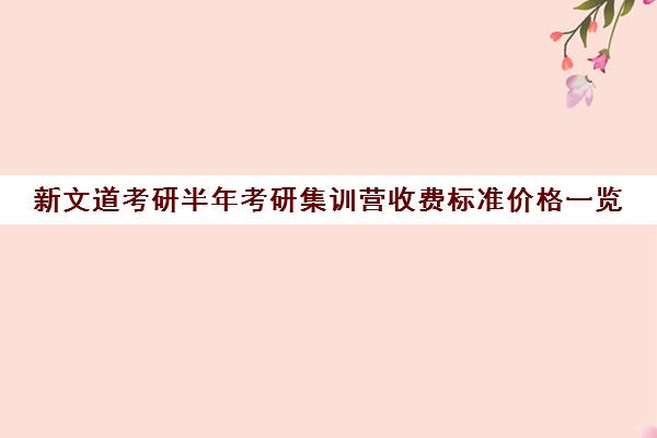 新文道考研半年考研集训营收费标准价格一览（考研集训营的作用大吗）