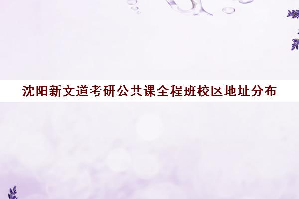 沈阳新文道考研公共课全程班校区地址分布（武汉新文道考研集训营）