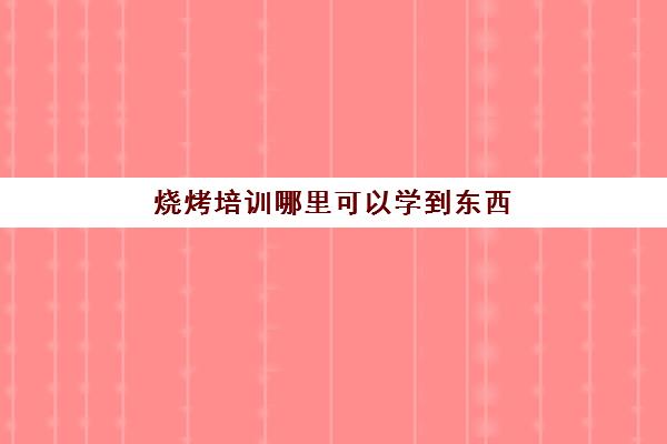 烧烤培训哪里可以学到东西(哪里有学烧烤技术培训)