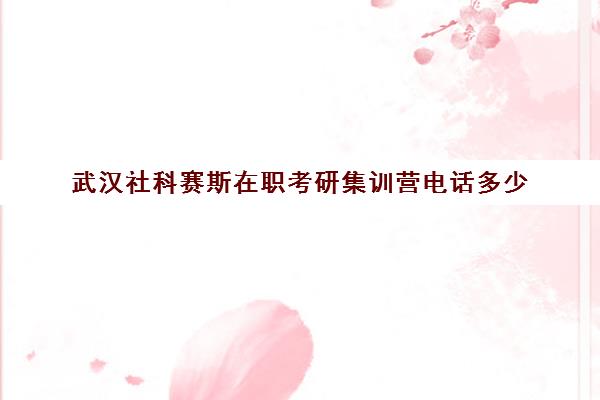 武汉社科赛斯在职考研集训营电话多少（武汉考研培训机构排名前十）