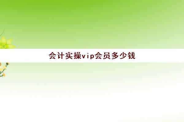 会计实操vip会员多少钱(会计网课一般多少钱)