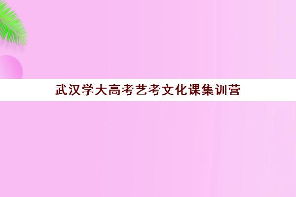 武汉学大高考艺考文化课集训营(武汉高考培训学校哪个好)