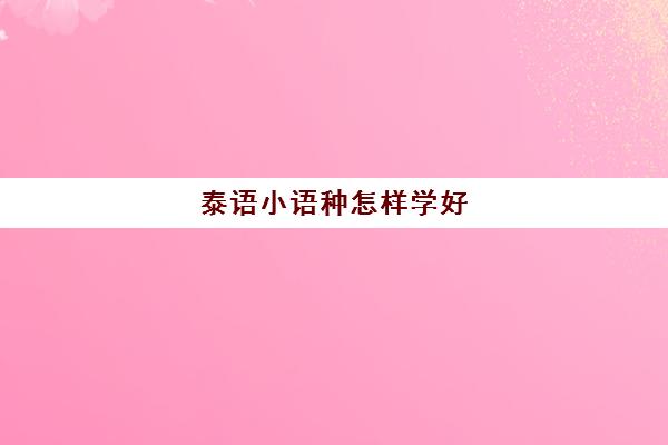 泰语小语种怎样学好(小语种泰语就业前景)