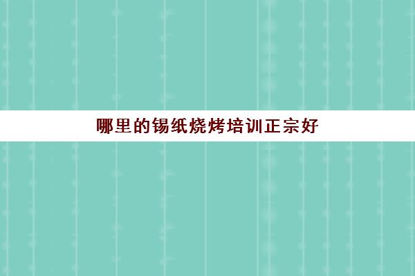 哪里的锡纸烧烤培训正宗好(锡纸烤肉的做法烤箱)