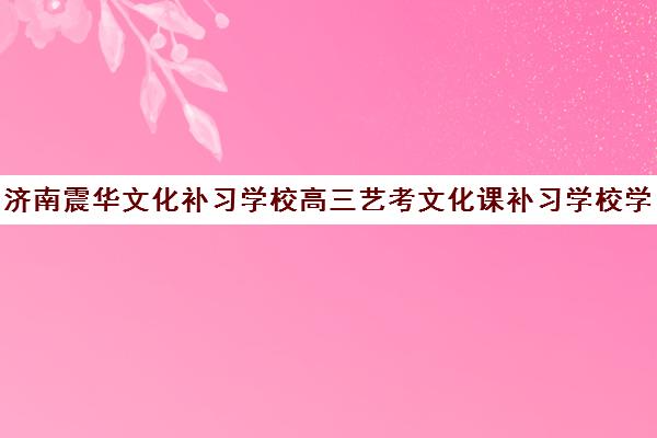 济南震华文化补习学校高三艺考文化课补习学校学费价格表