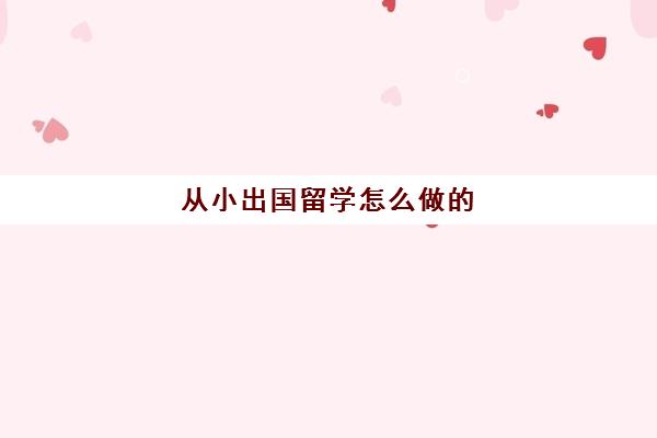 从小出国留学怎么做的(出国留学要做什么准备)