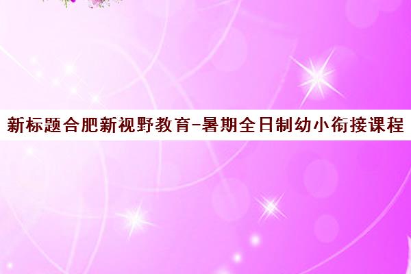 新标题合肥新视野教育-暑期全日制幼小衔接课程