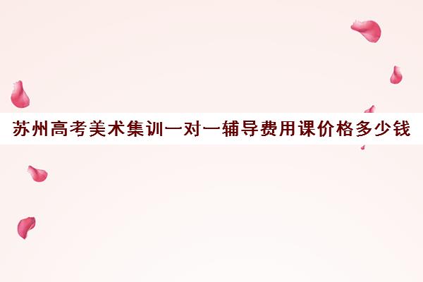 苏州高考美术集训一对一辅导费用课价格多少钱(苏州艺考画室排名前十位)