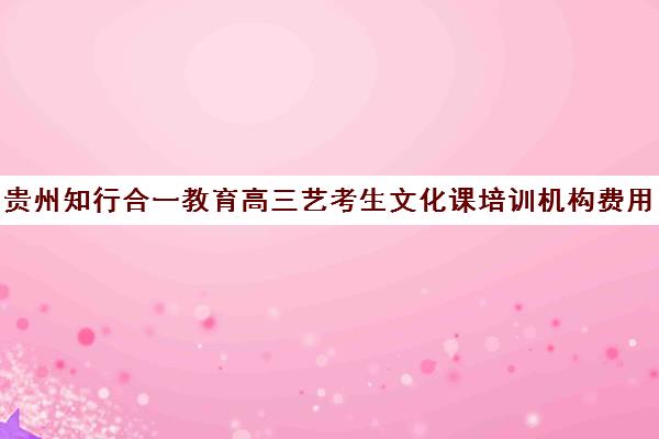 贵州知行合一教育高三艺考生文化课培训机构费用一般多少钱(艺考生文化课分数线)