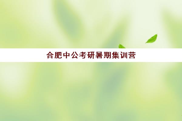 合肥中公考研暑期集训营(考研集训营有用吗)