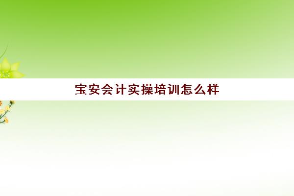 宝安会计实操培训怎么样(深圳学会计去哪里学好)