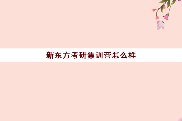 新东方考研集训营怎么样(新东方教育科技集团)