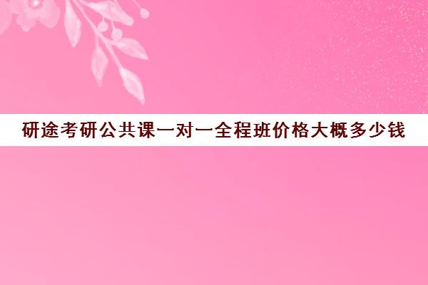 研途考研公共课一对一全程班价格大概多少钱（考研线上一对一辅导收费标准）