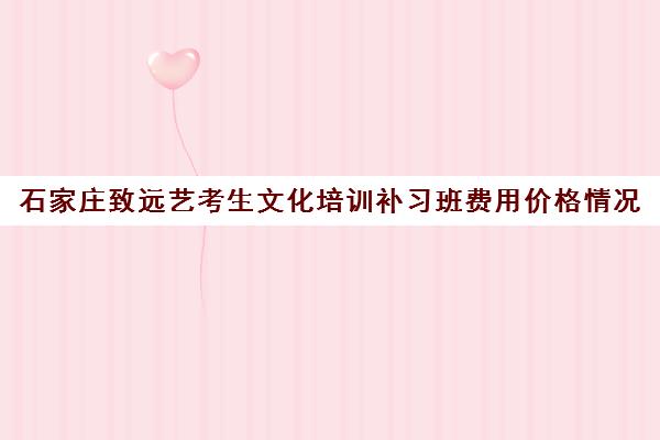 石家庄致远艺考生文化培训补习班费用价格情况