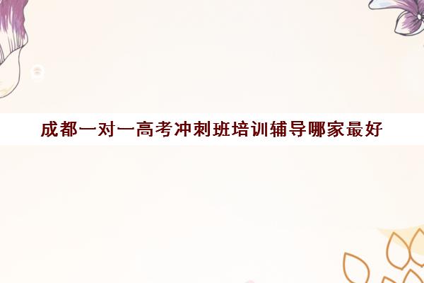 成都一对一高考冲刺班培训辅导哪家最好(初中一对一辅导价格)