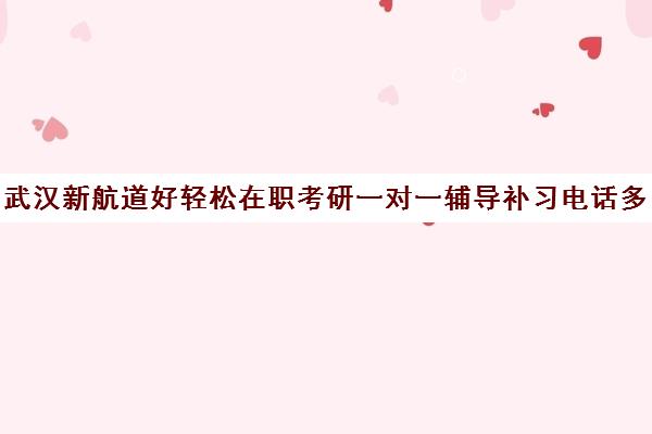 武汉新航道好轻松在职考研一对一辅导补习电话多少