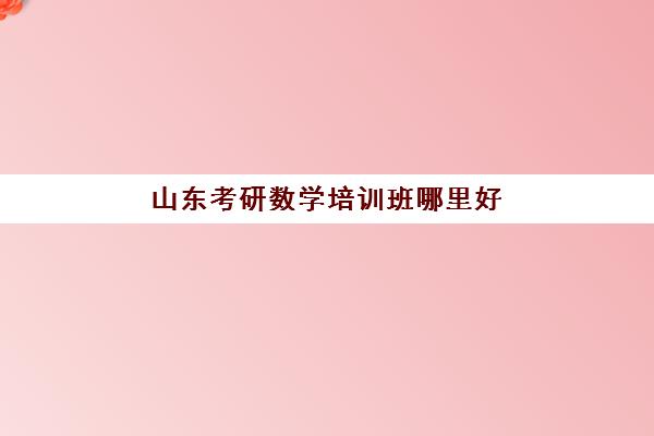 山东考研数学培训班哪里好(考研有必要上培训班吗)