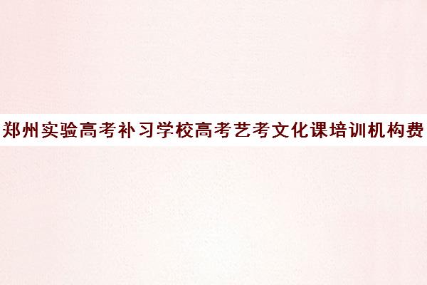 郑州实验高考补习学校高考艺考文化课培训机构费用一般多少钱