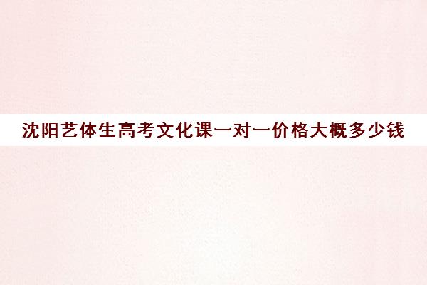 沈阳艺体生高考文化课一对一价格大概多少钱(沈阳舞蹈艺考培训机构有哪些)