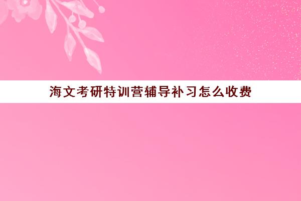 海文考研特训营辅导补习怎么收费