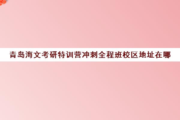 青岛海文考研特训营冲刺全程班校区地址在哪（海文考研培训怎么样）