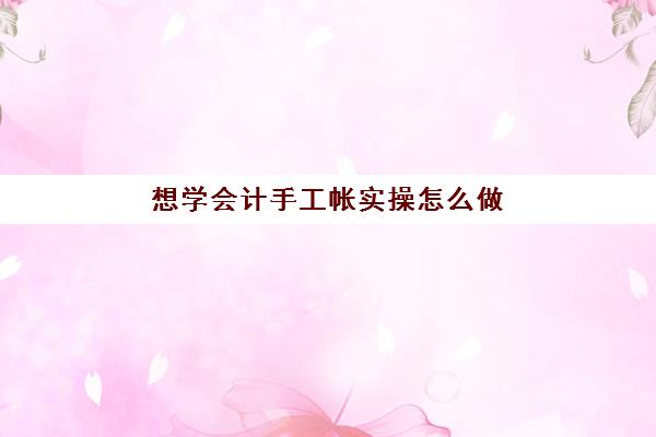 想学会计手工帐实操怎么做(会计手工账做账)