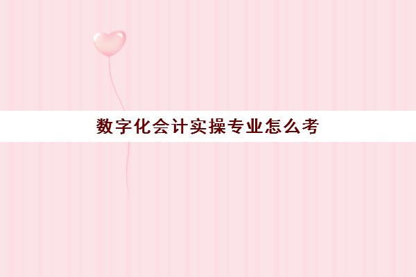 数字化会计实操专业怎么考(会计电算化是干什么的)