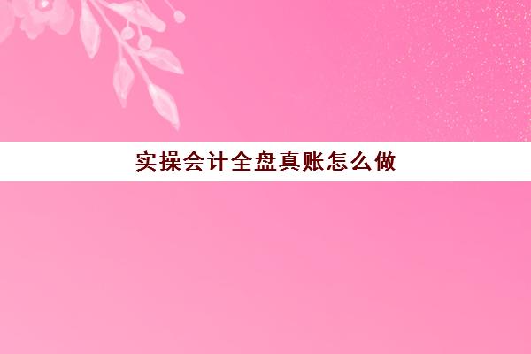 实操会计全盘真账怎么做(做内账流程新手必看)