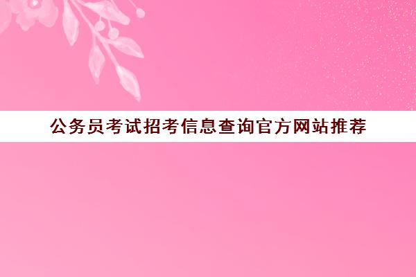 公务员考试招考信息查询官方网站推荐