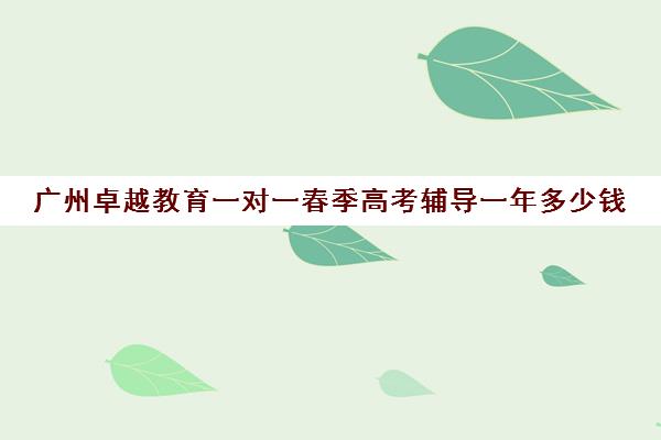 广州卓越教育一对一春季高考辅导一年多少钱(广州学历提升机构排名)