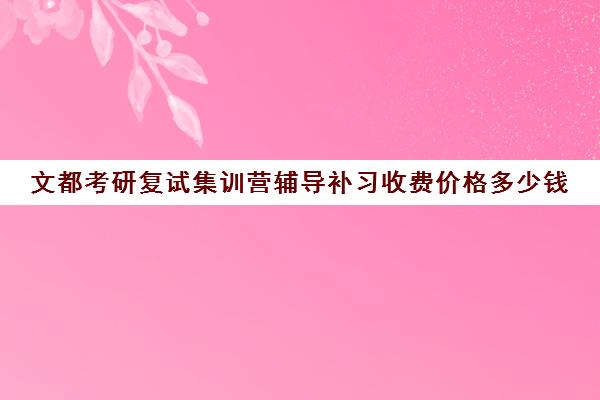 文都考研复试集训营辅导补习收费价格多少钱