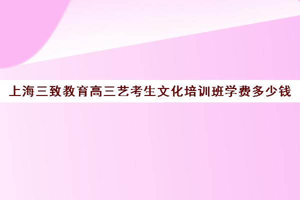 上海三致教育高三艺考生文化培训班学费多少钱(高三艺考集训费用多少)